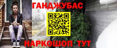 стаф Можга