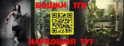 стаф Можга
