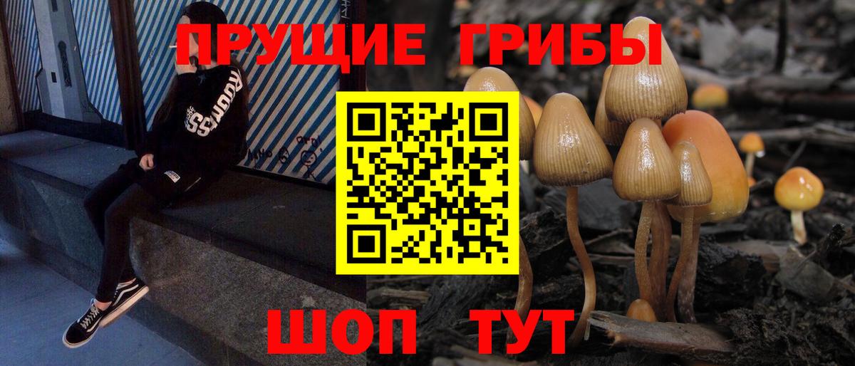 Галлюциногенные грибы Cubensis  Вход с VPN  Узловая 